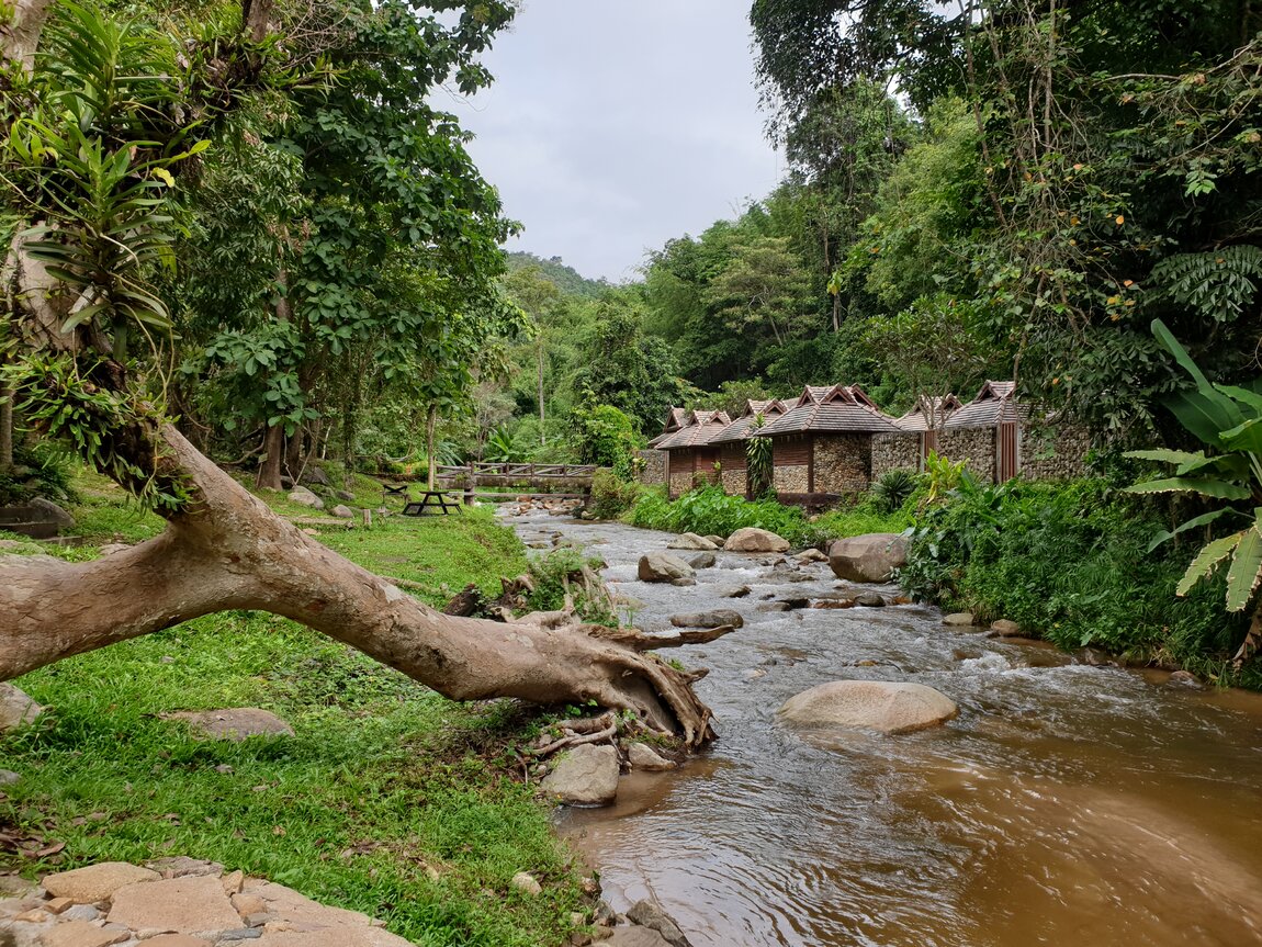 2020-09-25 07.49.50.jpg