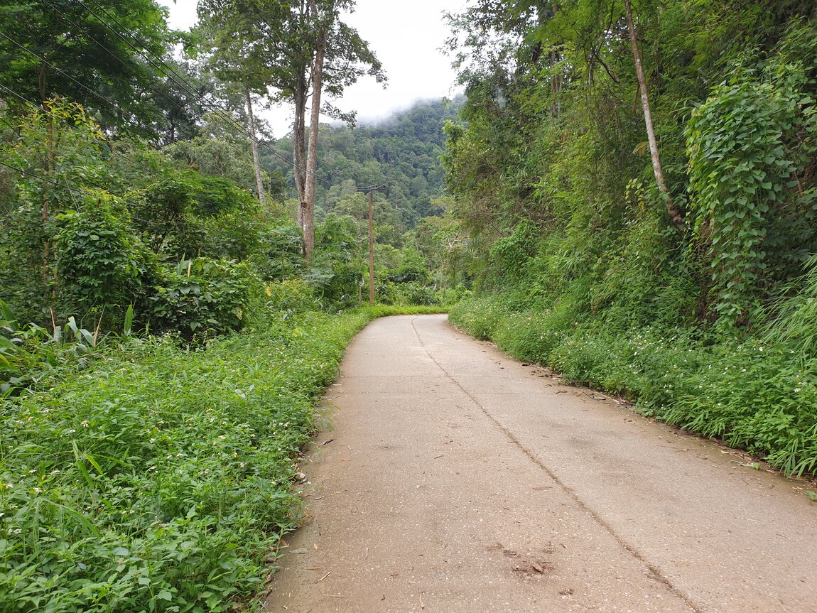 2020-09-25 09.37.27.jpg