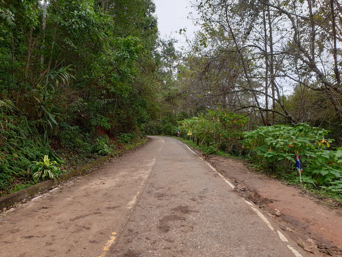 2020-09-25 10.13.00.jpg