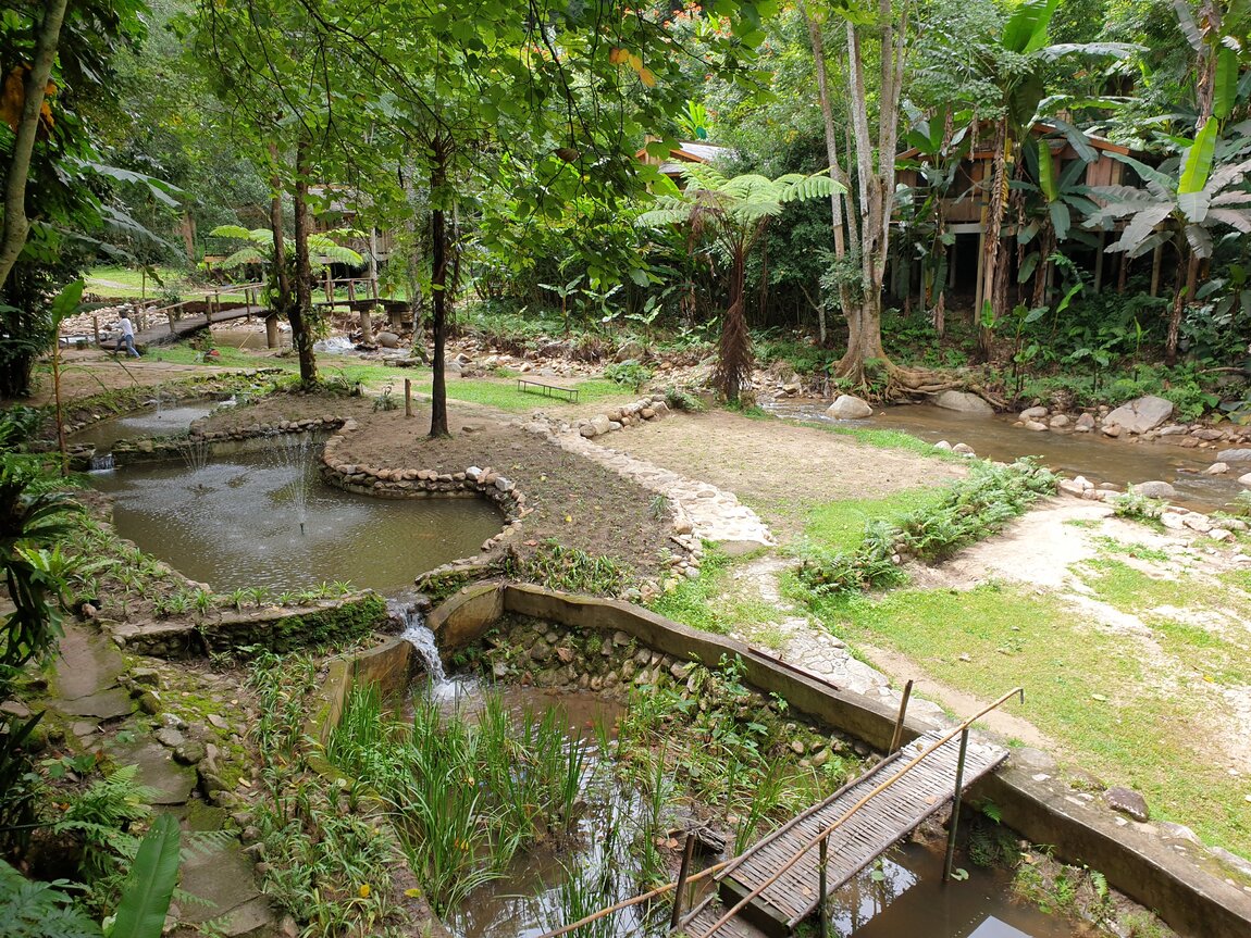 2020-09-25 11.05.38.jpg