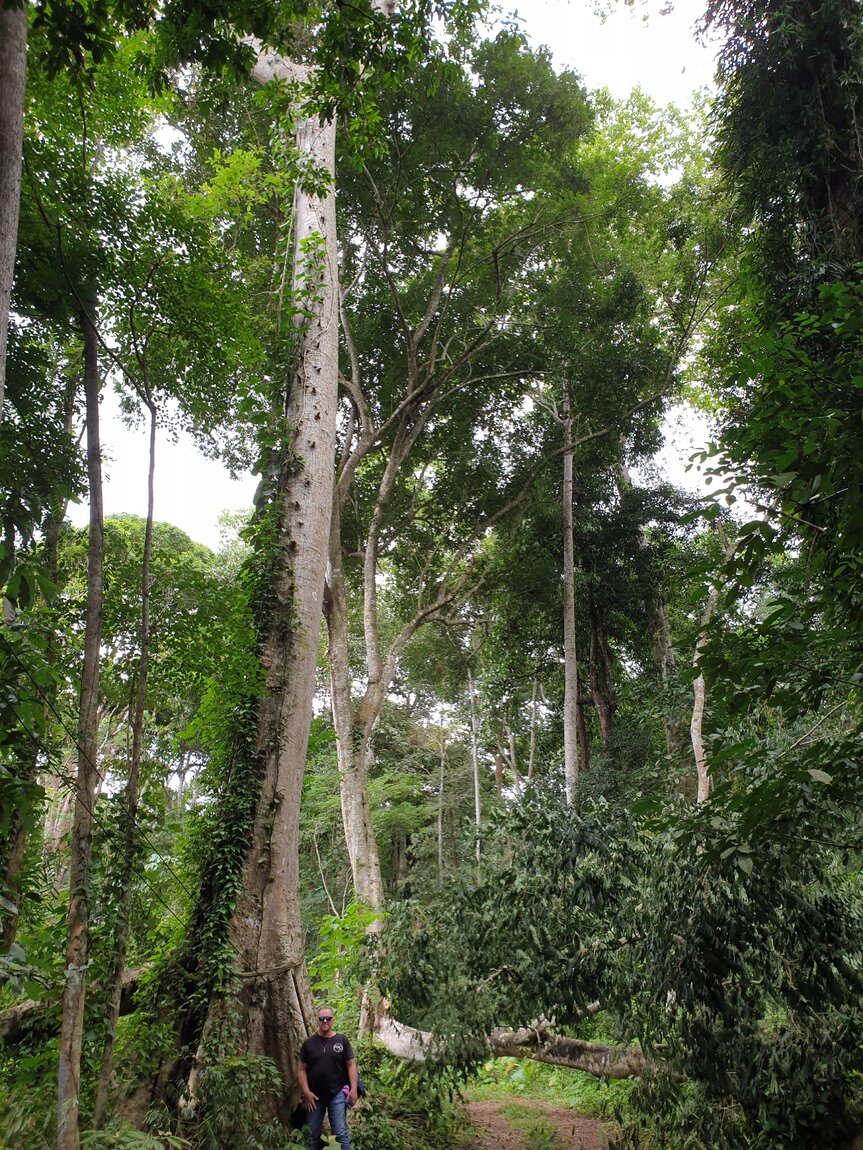 2020-09-30 12.11.13.jpg