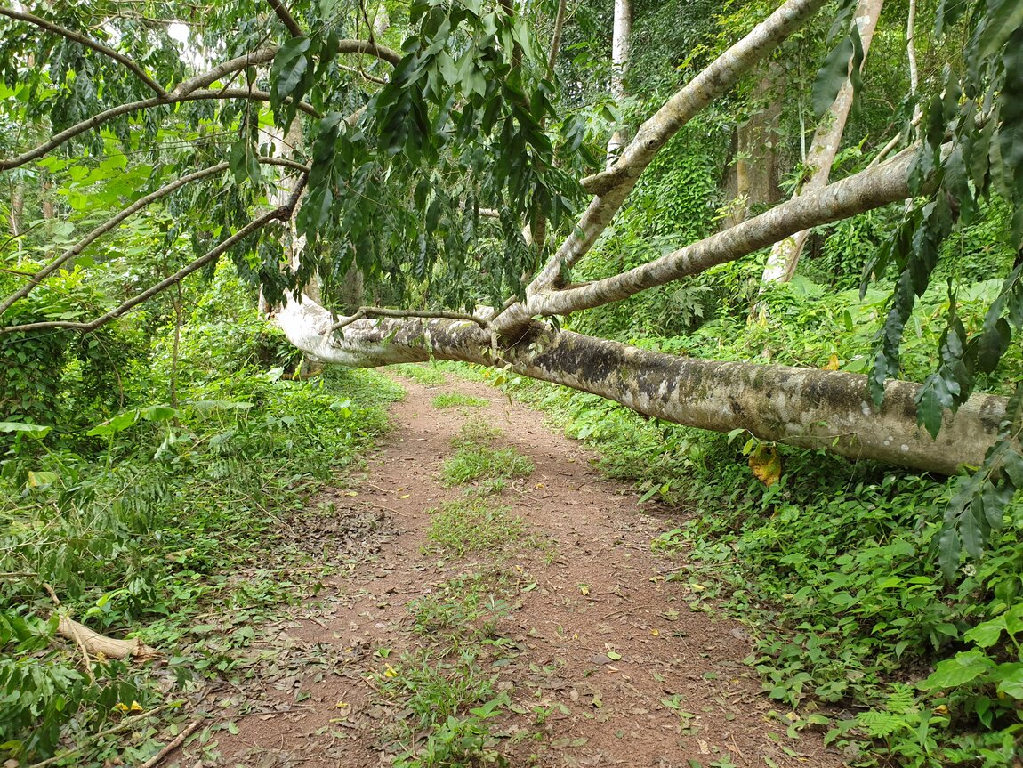 2020-09-30 12.12.12.jpg