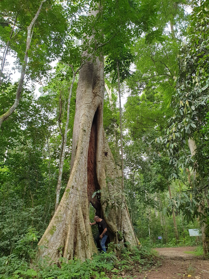 2020-09-30 12.13.34.jpg