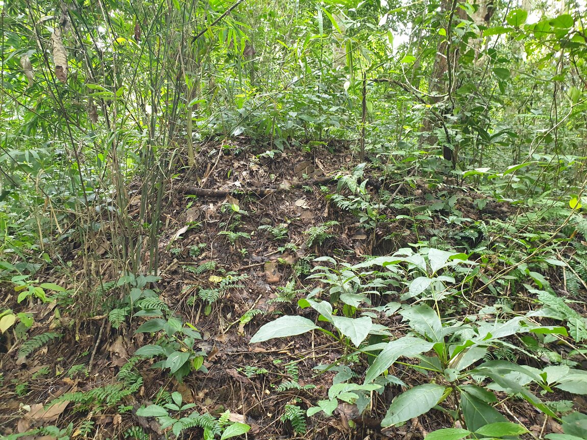 2020-09-30 12.26.21.jpg