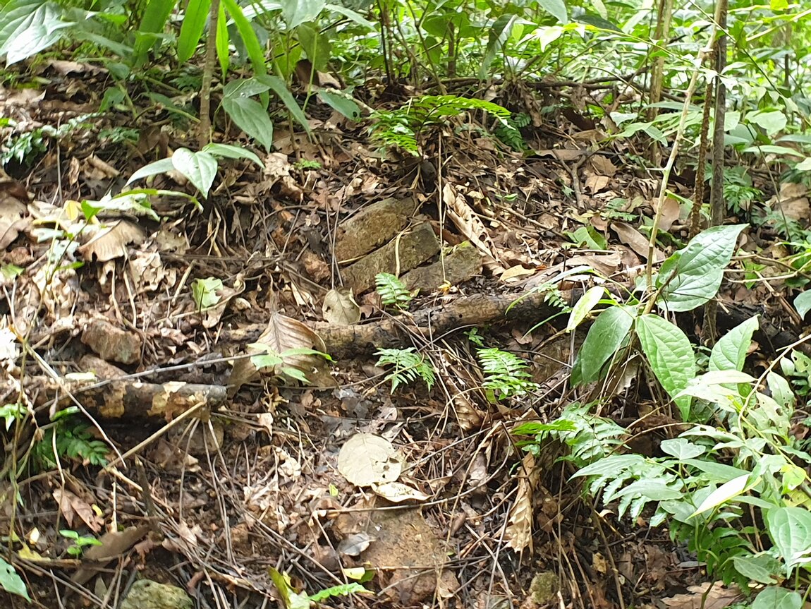 2020-09-30 12.26.33.jpg