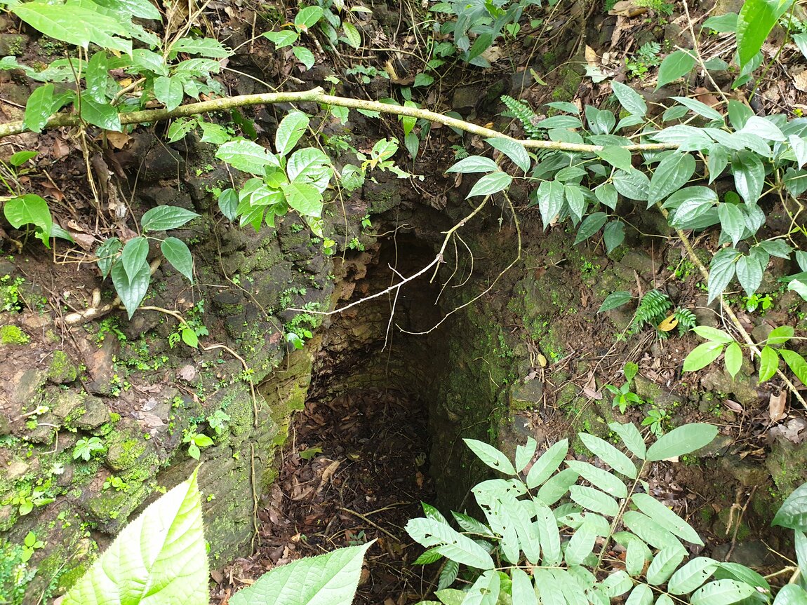 2020-09-30 12.27.14.jpg