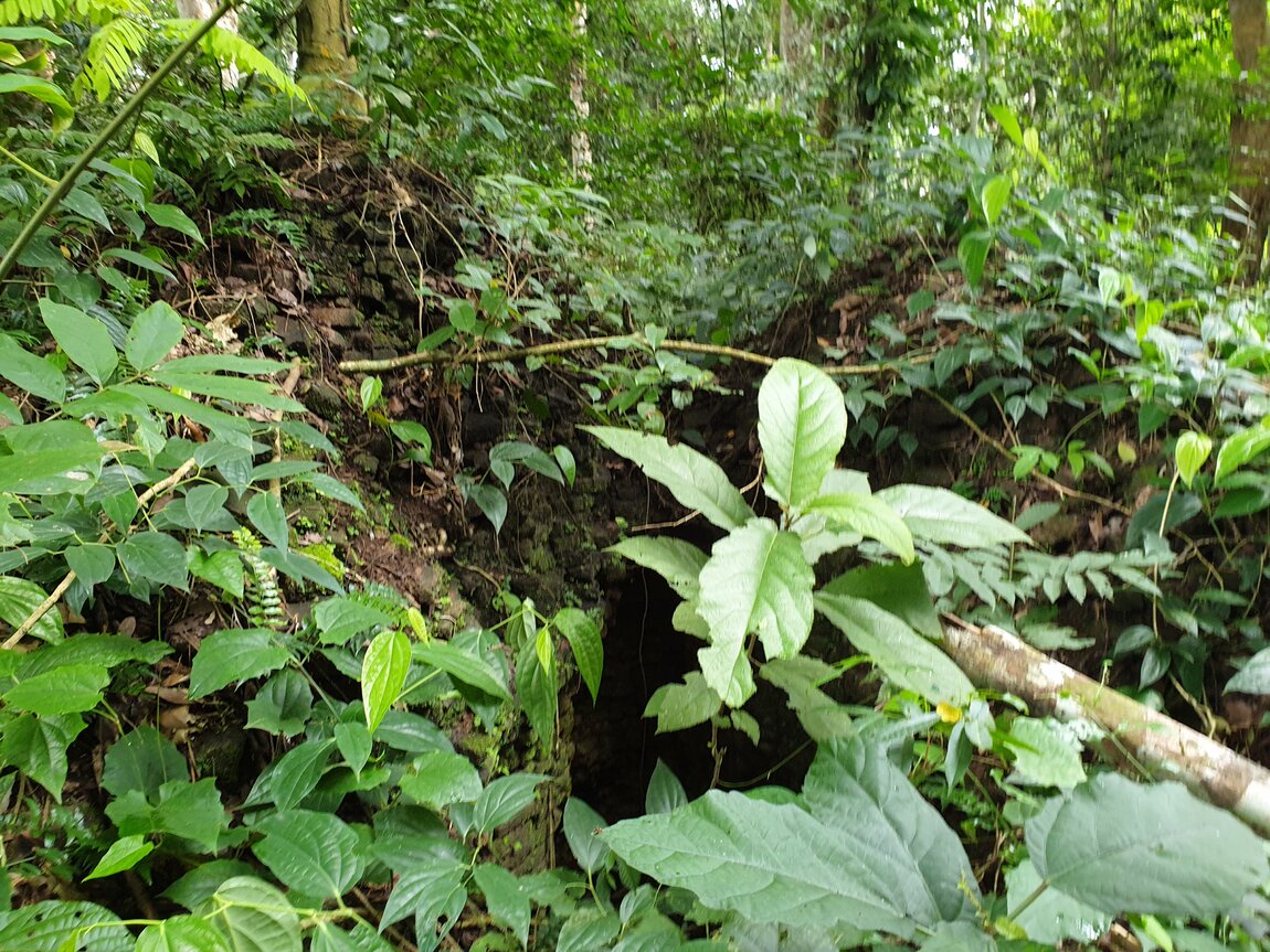 2020-09-30 12.27.20.jpg