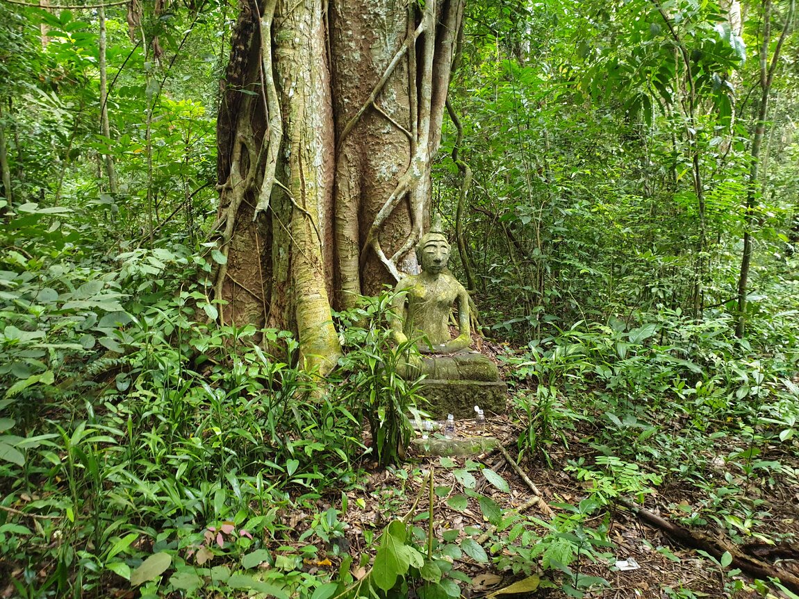 2020-09-30 12.28.32.jpg