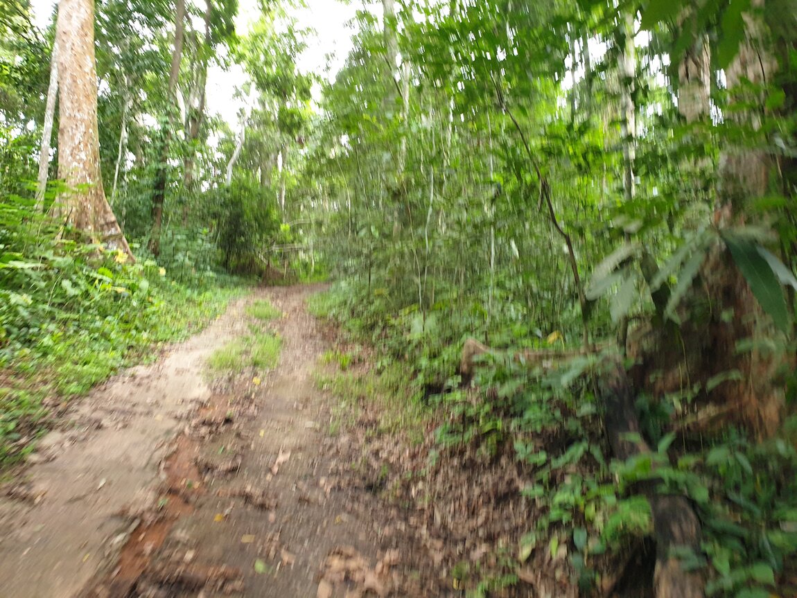 2020-09-30 12.31.07.jpg