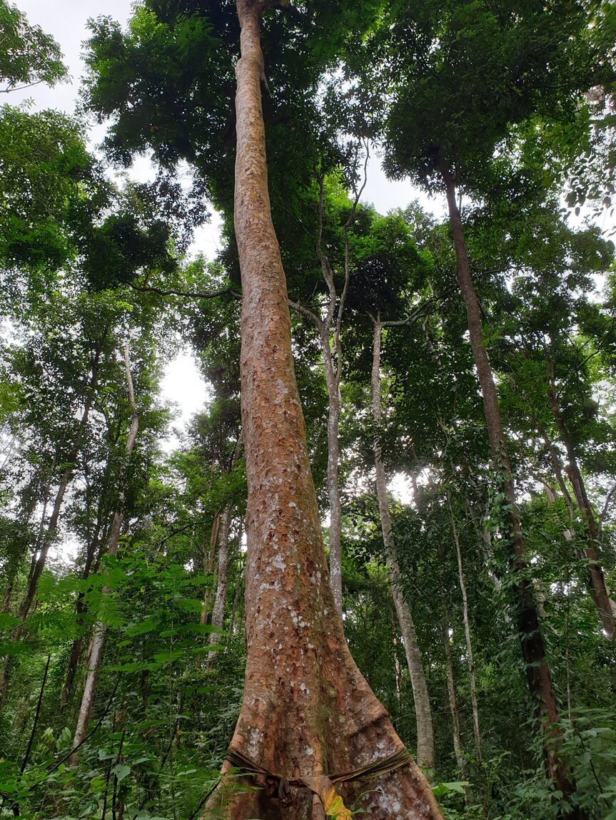 2020-09-30 12.31.27.jpg