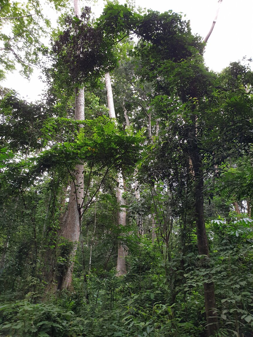 2020-09-30 12.32.41.jpg