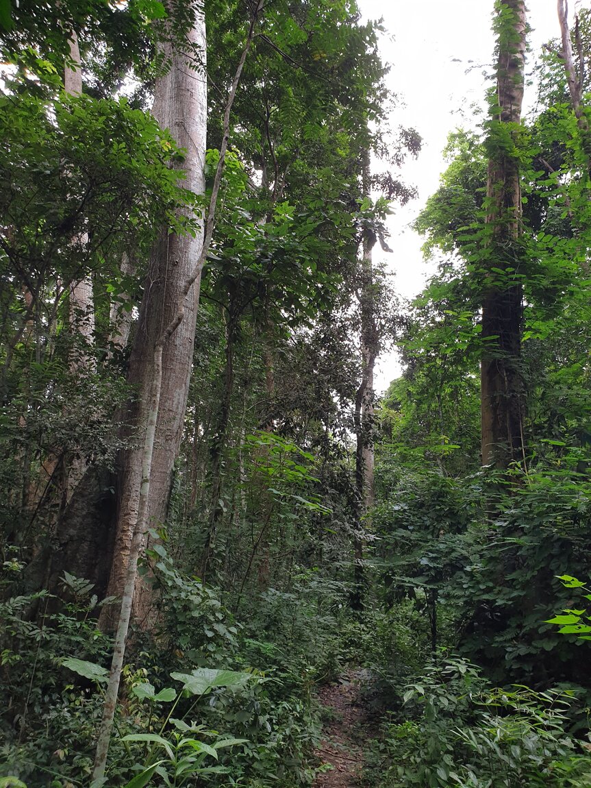 2020-09-30 12.33.12.jpg