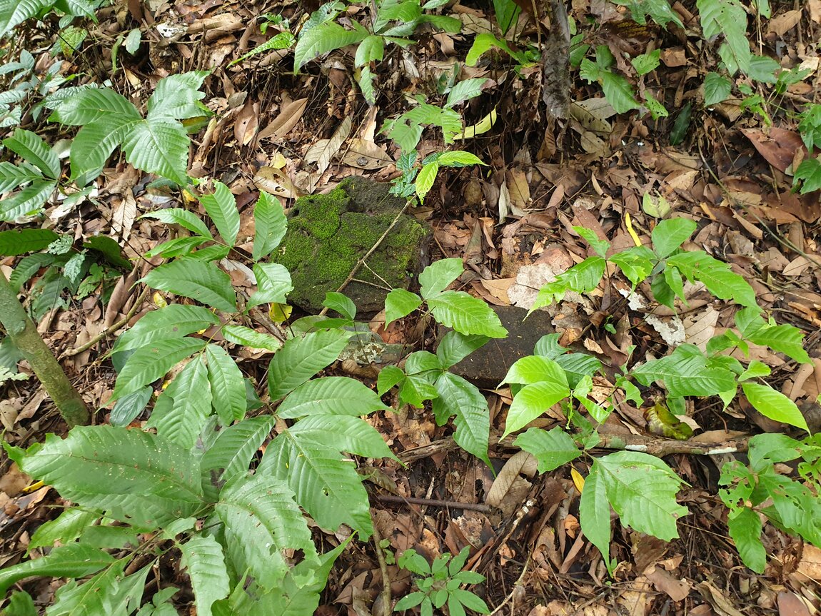 2020-09-30 12.38.46.jpg