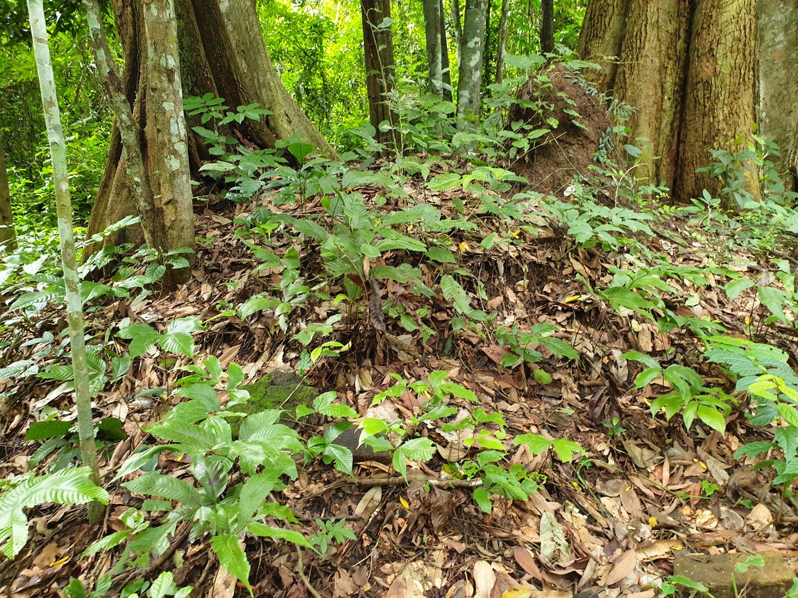 2020-09-30 12.38.51.jpg