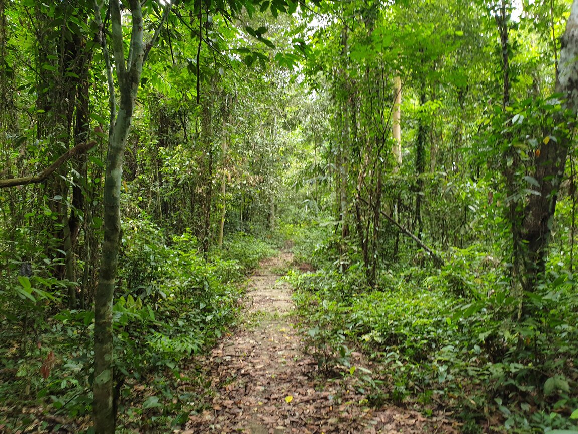 2020-09-30 12.44.41.jpg