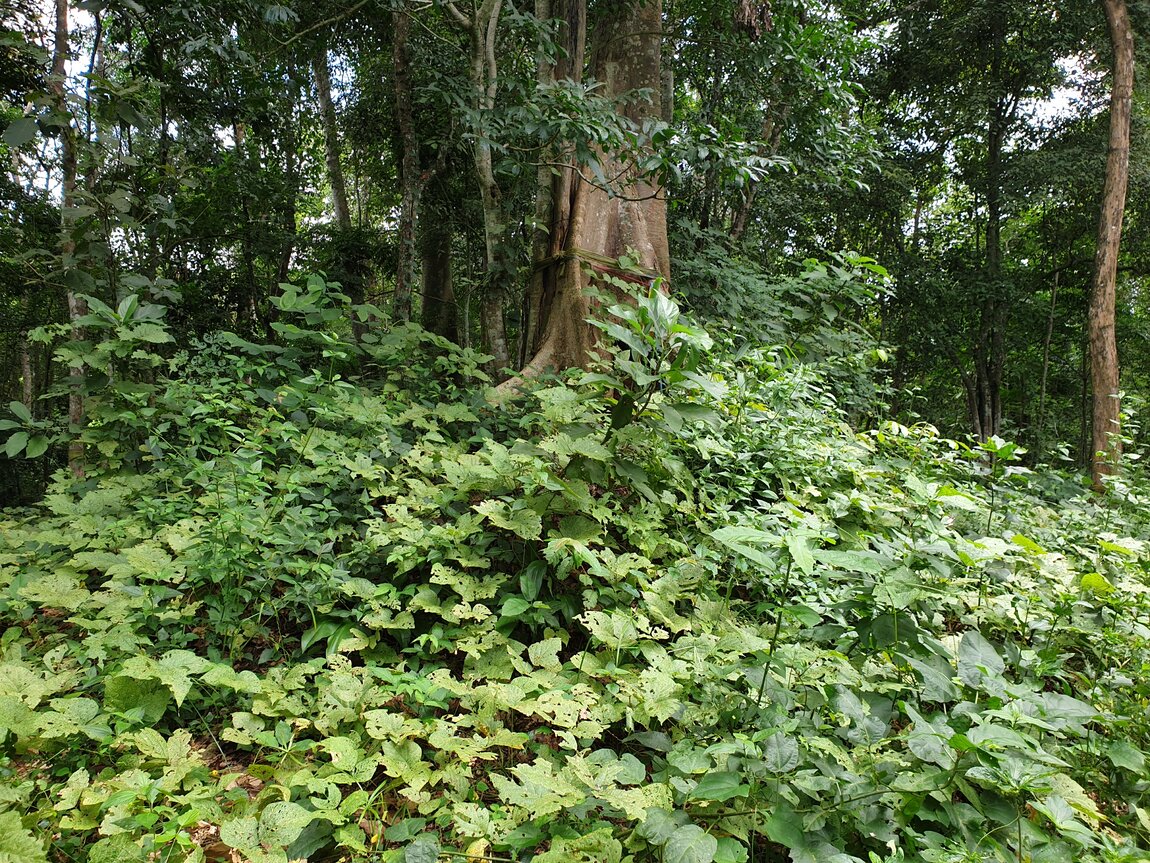 2020-09-30 12.58.24.jpg