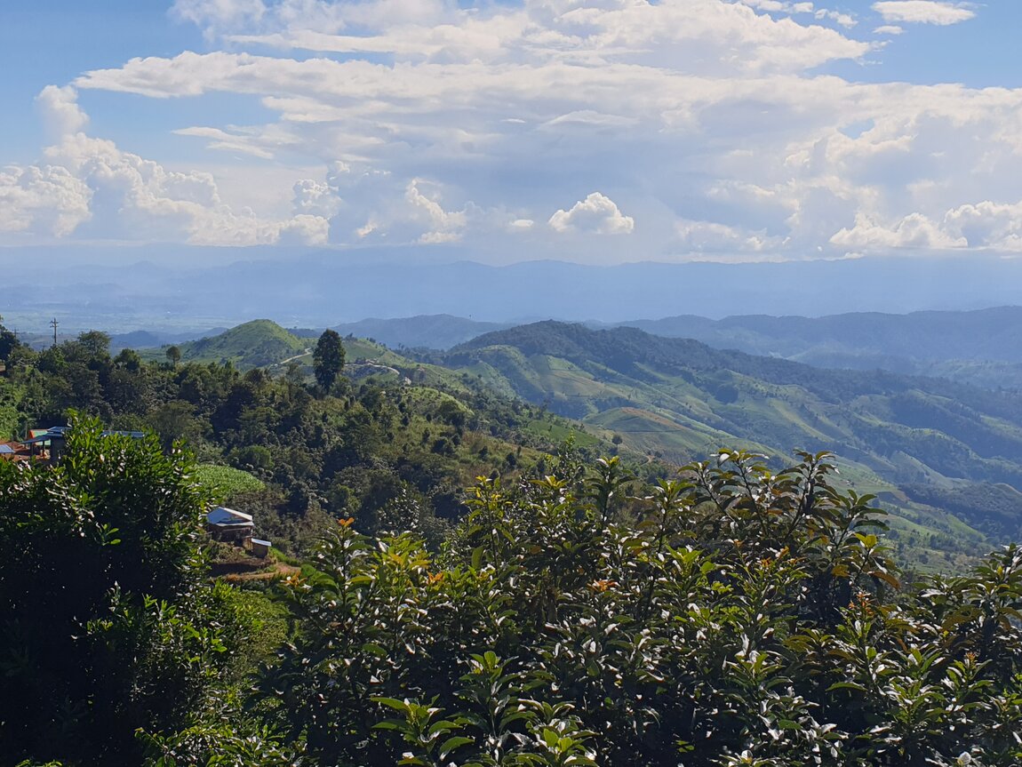 2020-10-06 15.00.20.jpg