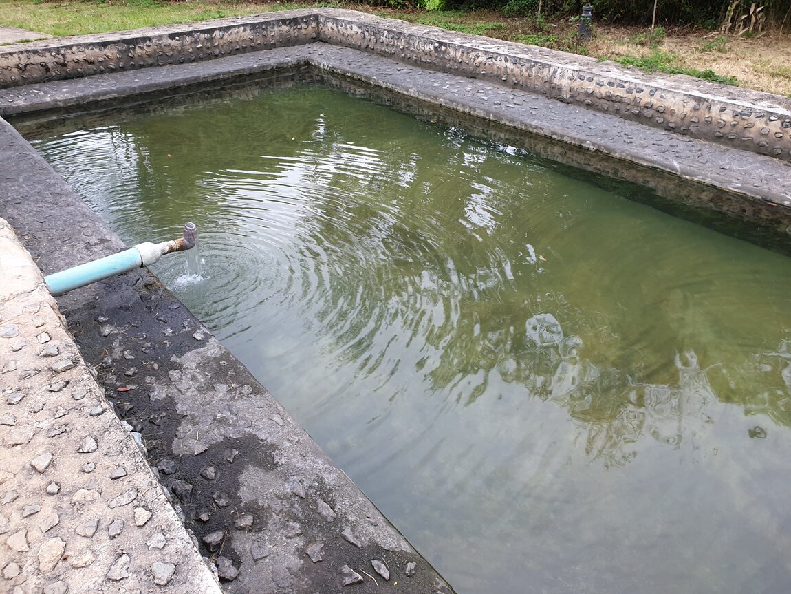 2020-10-30 08.03.05.jpg