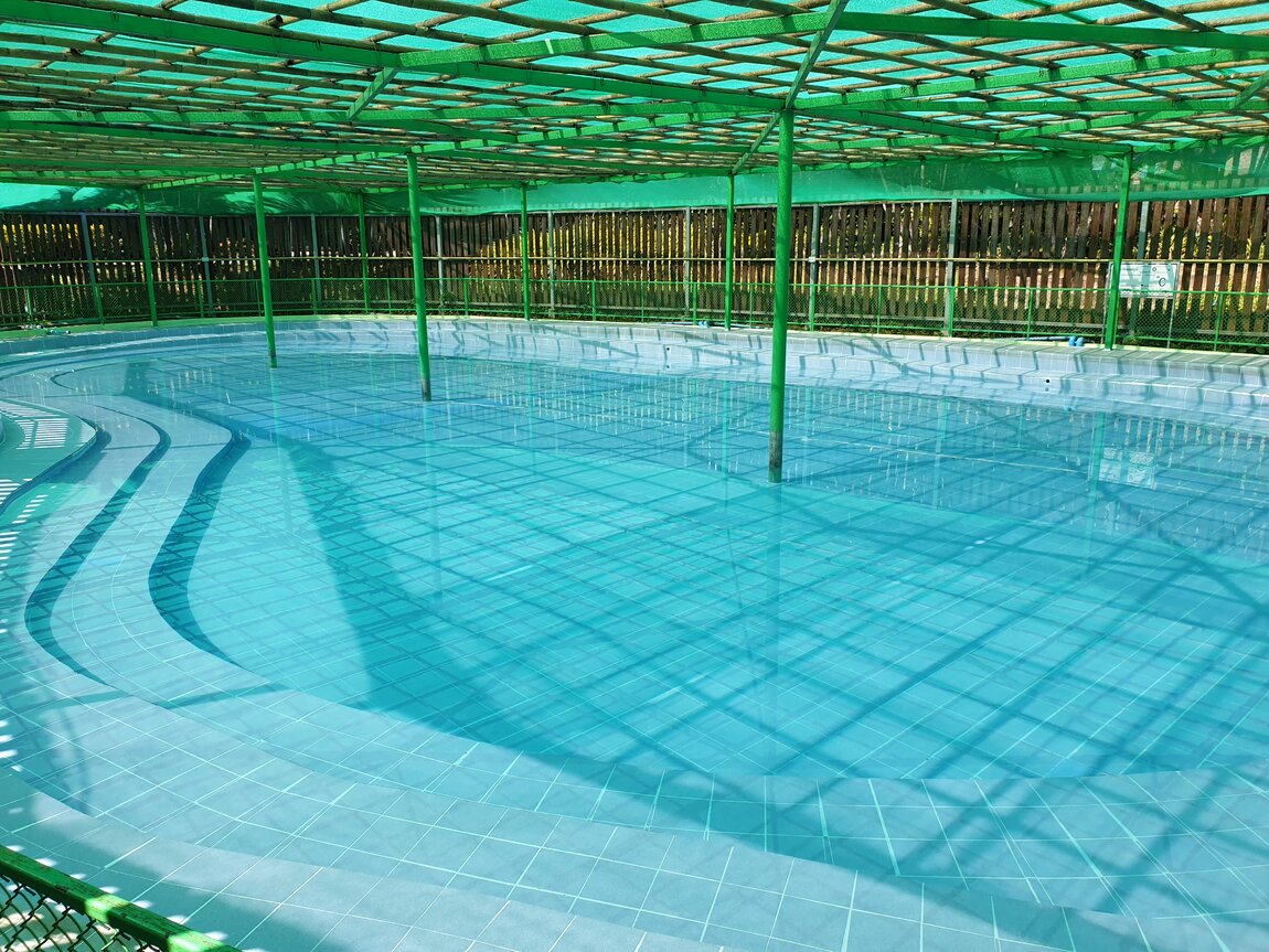 2020-12-01 12.37.17.jpg