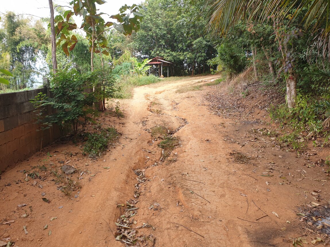 2020-12-05 10.07.38.jpg