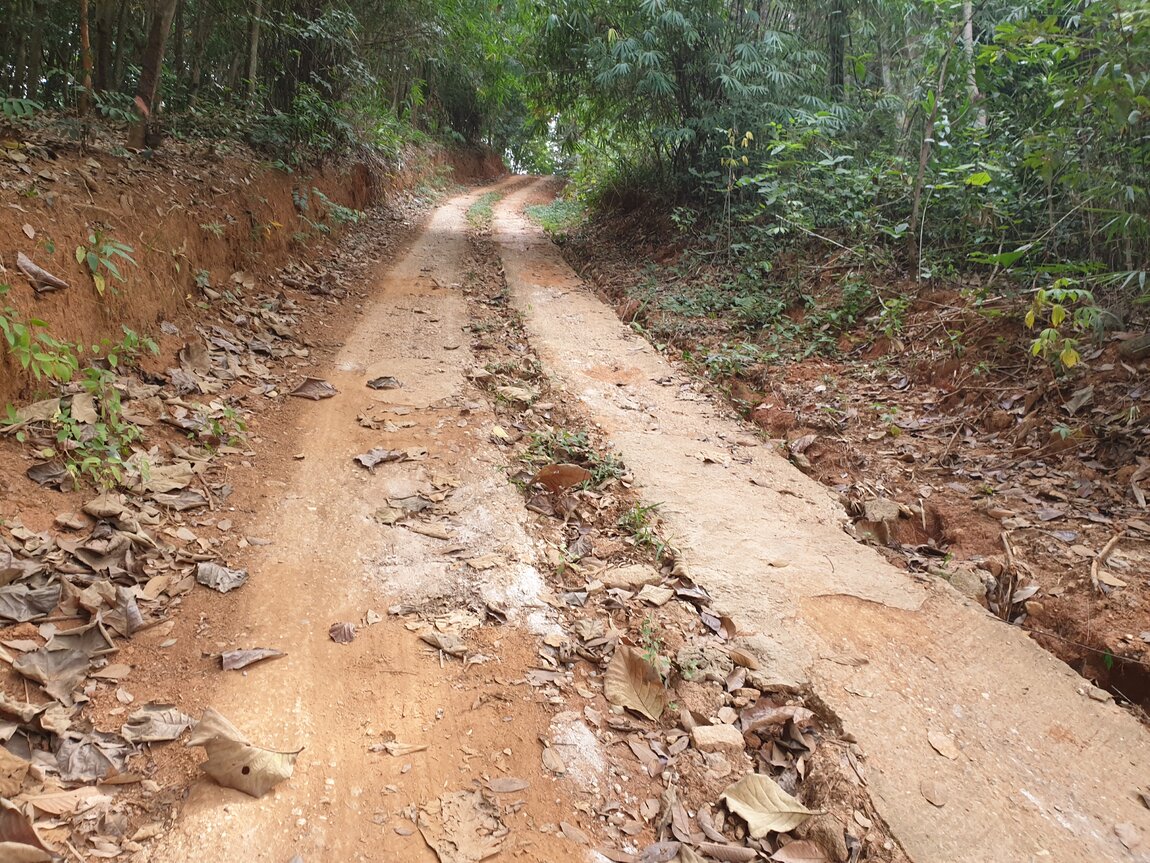 2020-12-05 10.08.24.jpg