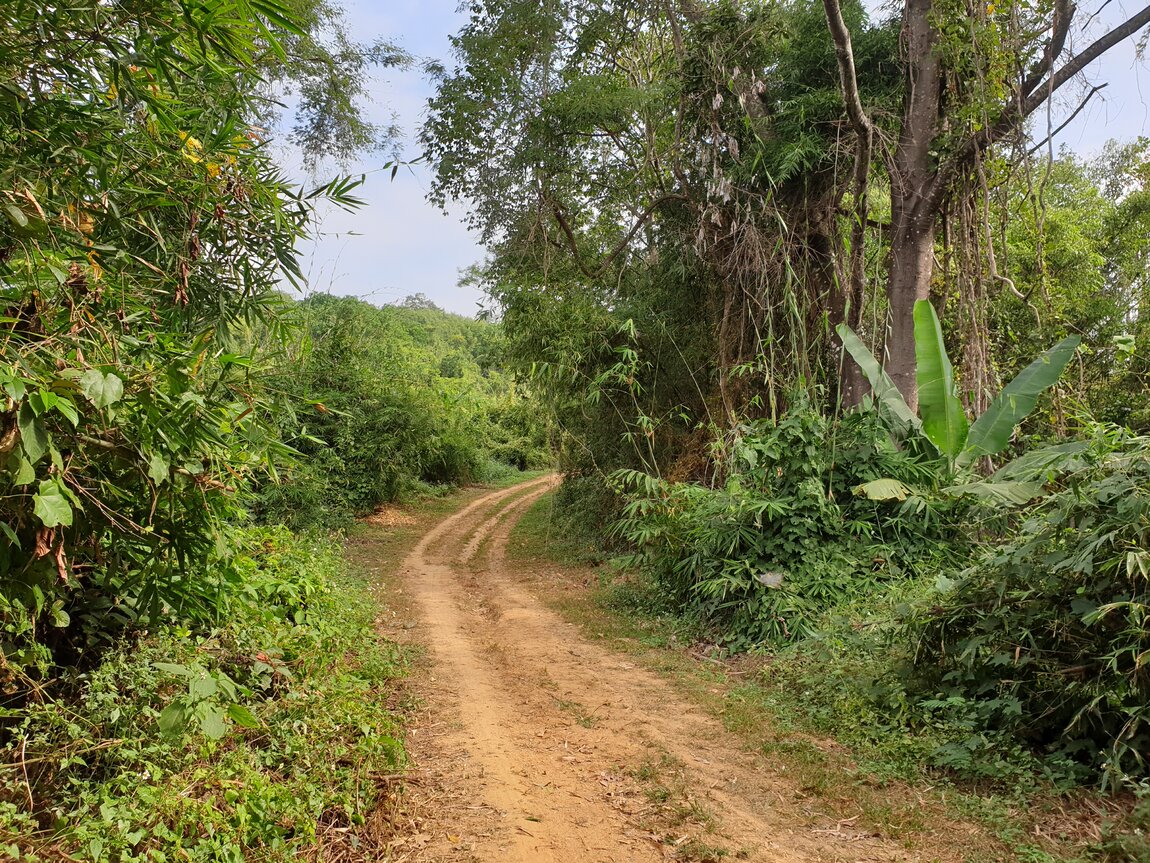 2020-12-05 10.13.42.jpg