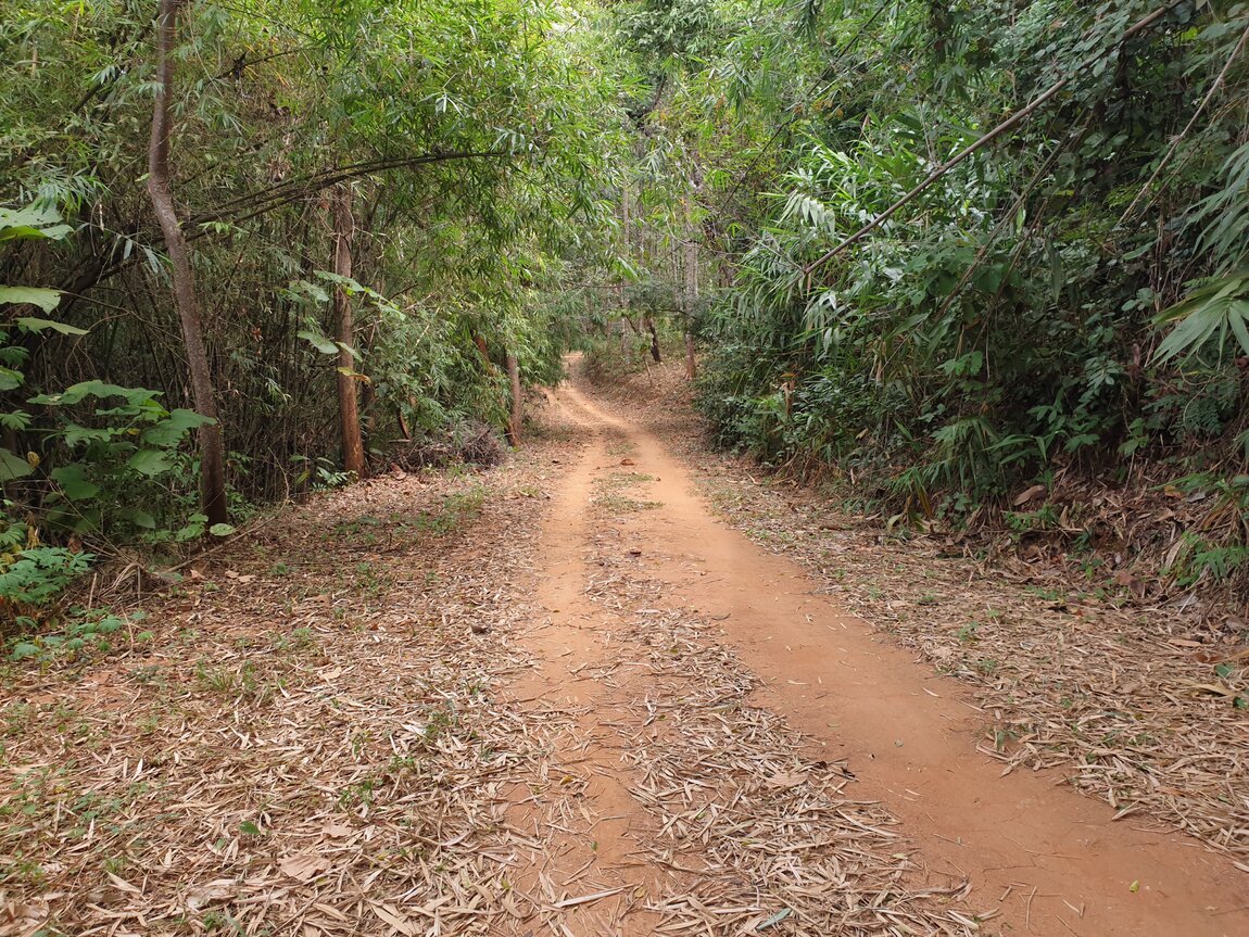 2020-12-05 10.15.22.jpg