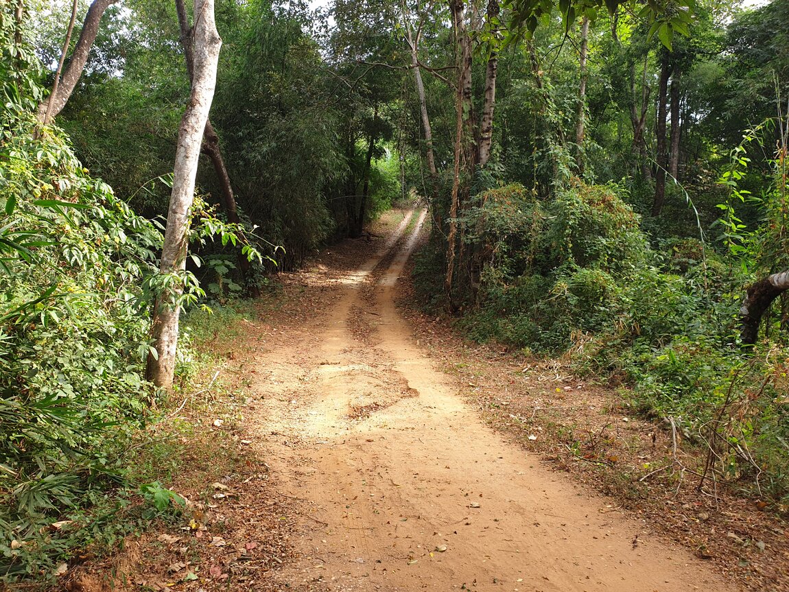 2020-12-05 10.16.26.jpg