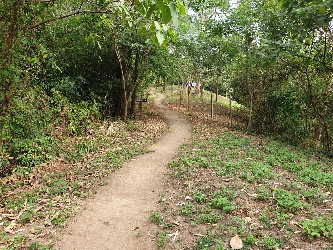 2020-12-05 10.37.06.jpg