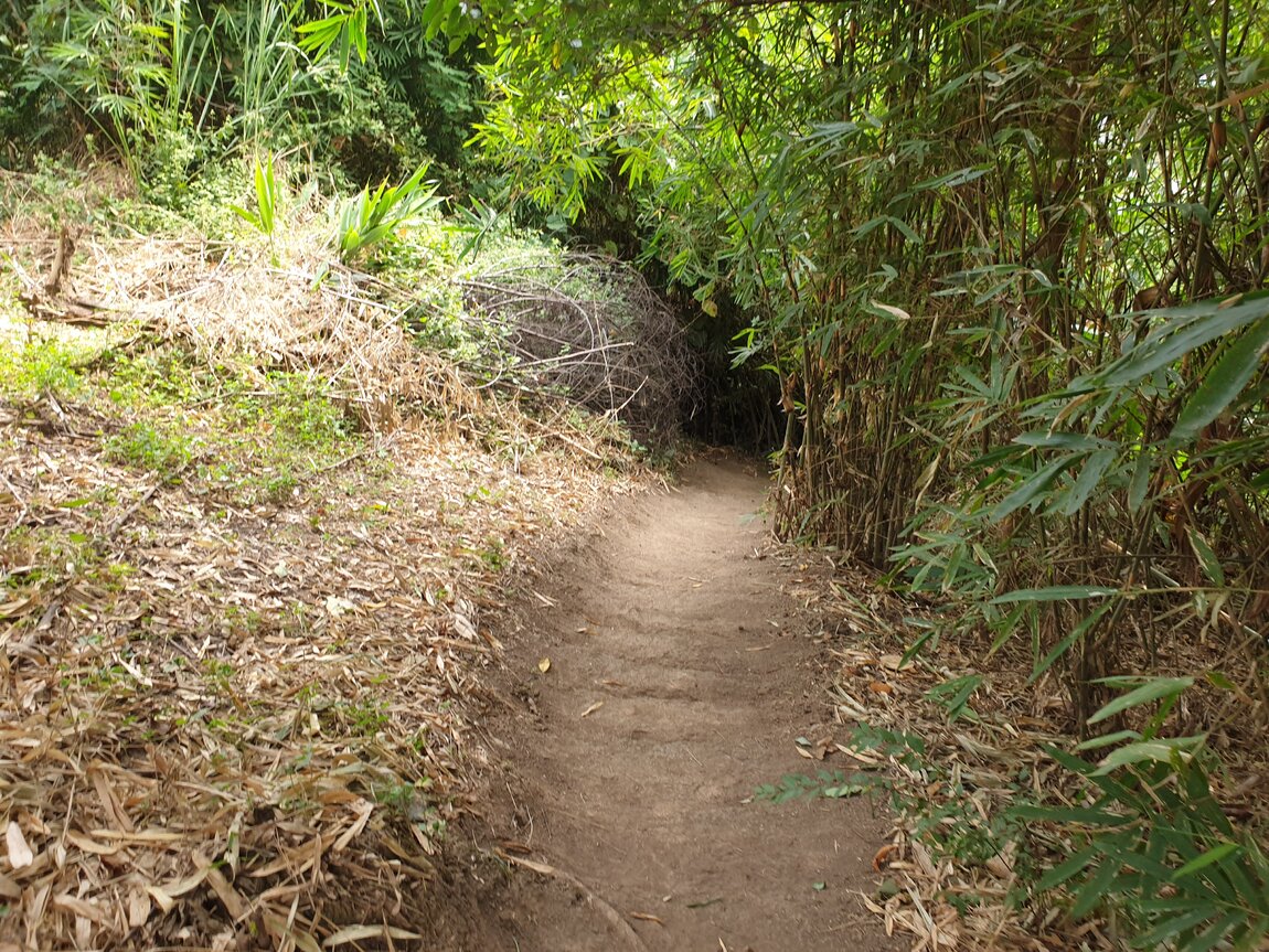 2020-12-05 10.37.44.jpg