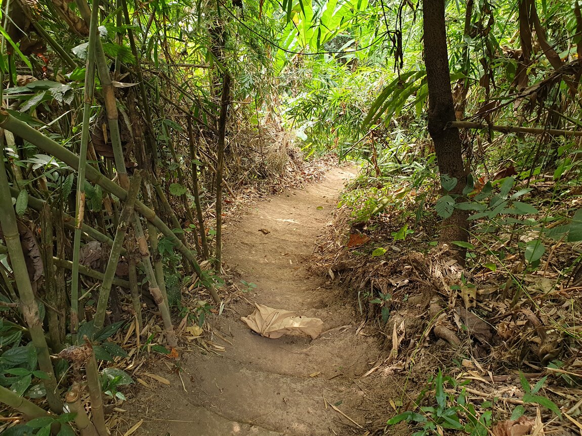 2020-12-05 10.38.09.jpg