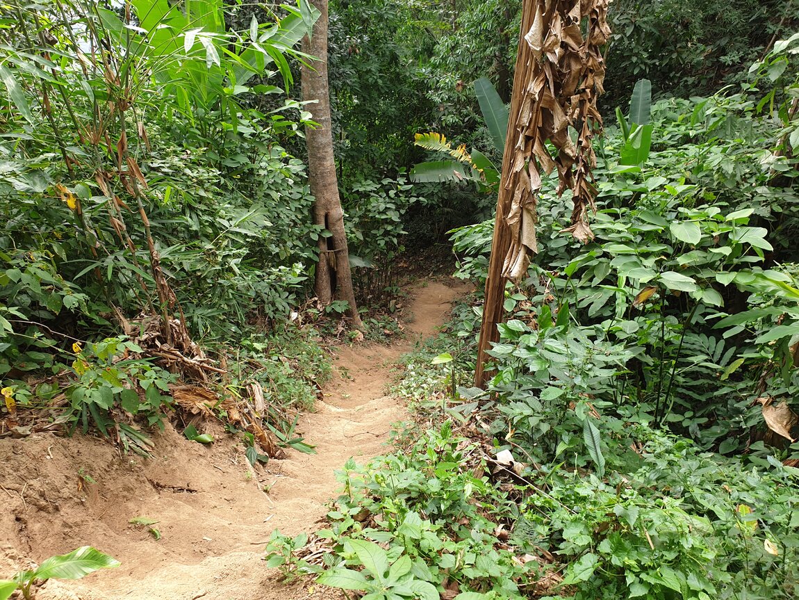 2020-12-05 10.38.52.jpg