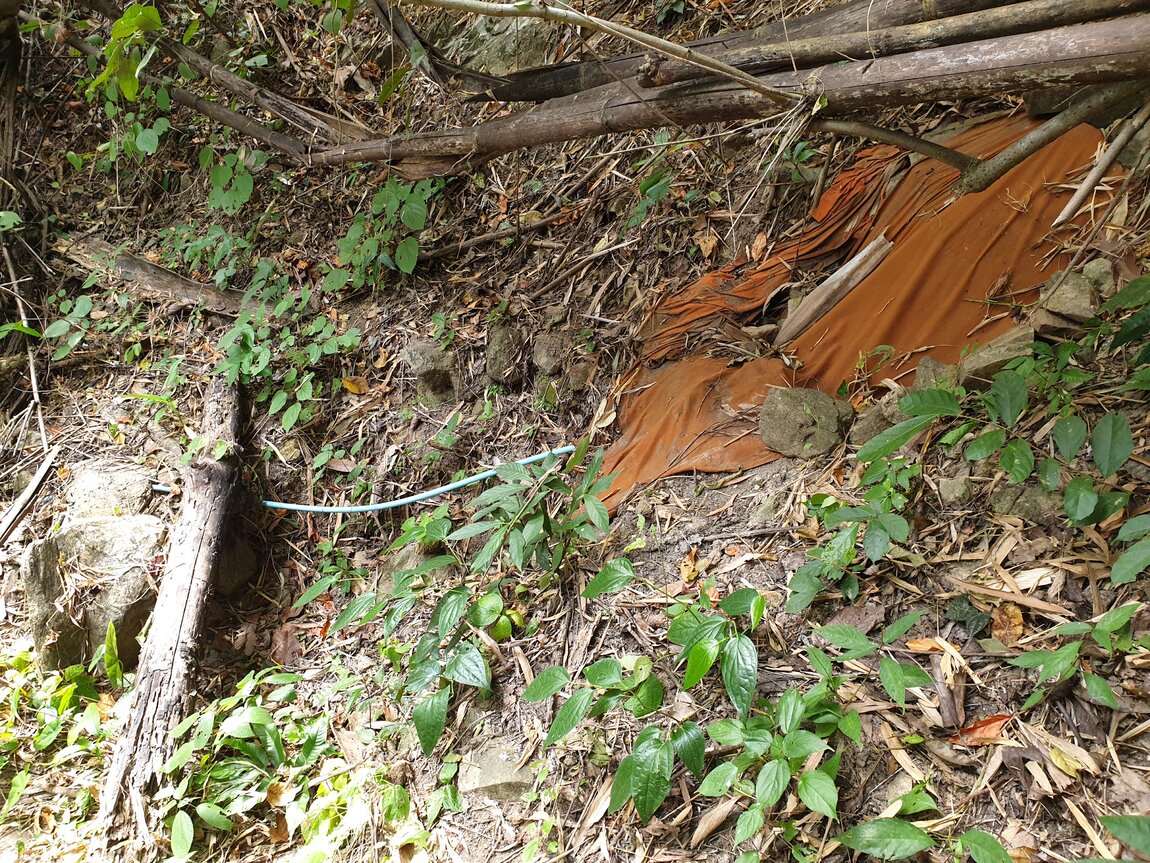 2020-12-05 10.52.35.jpg