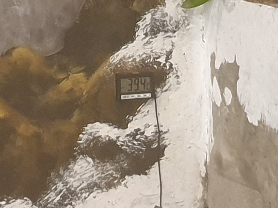 2020-12-23 08.56.28.jpg