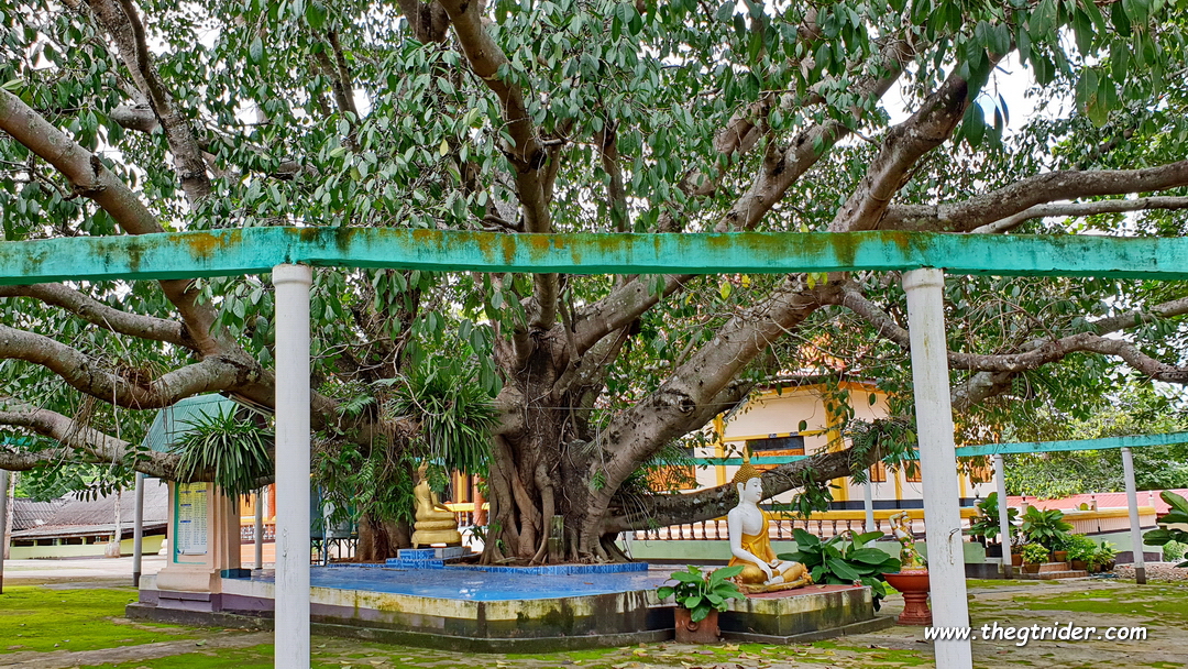 20200926_135917.jpg