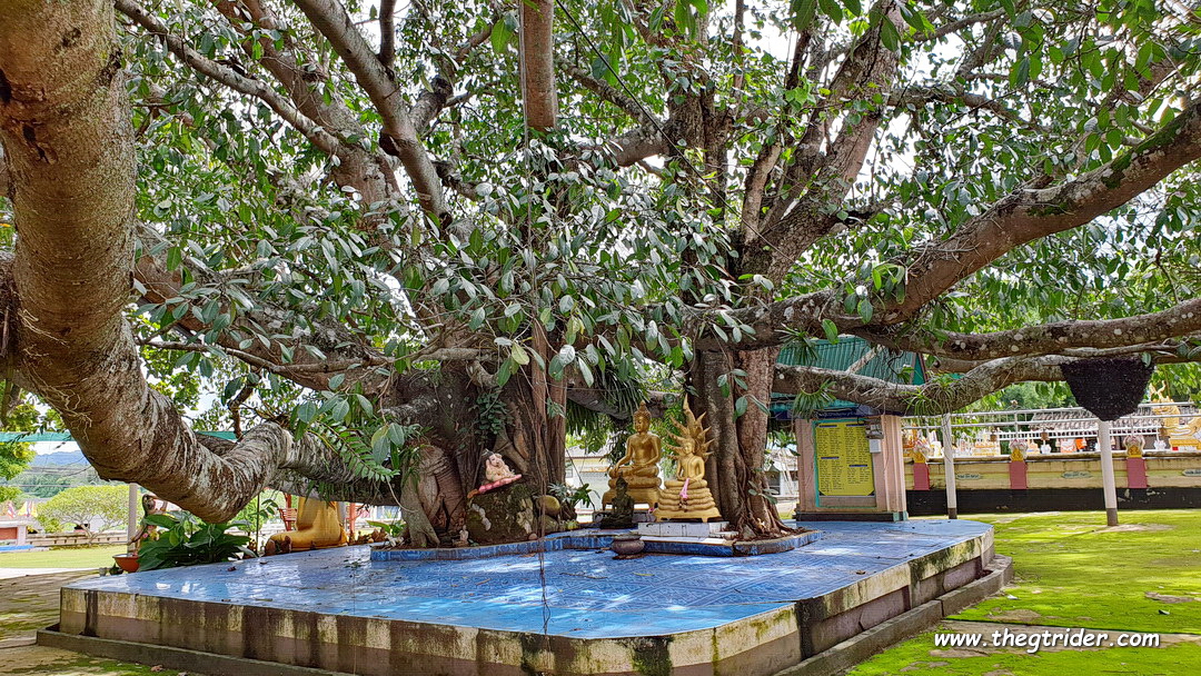 20200926_140157.jpg