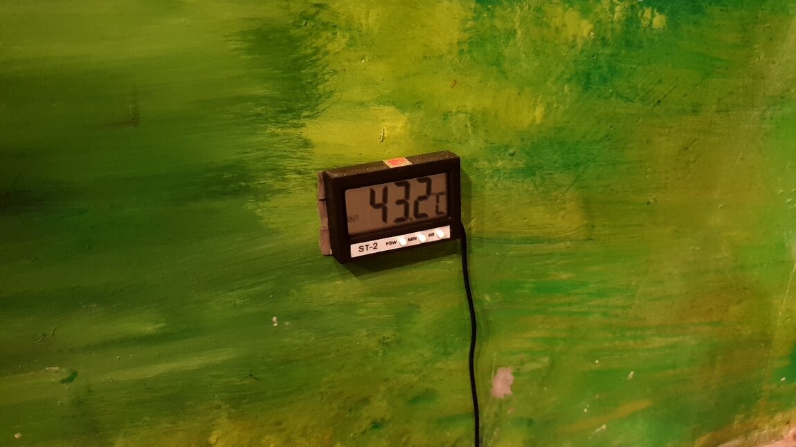 2021-01-12 09.48.53.jpg