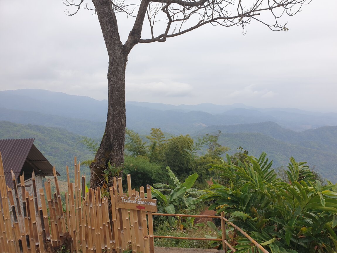 2021-01-13 10.14.27.jpg