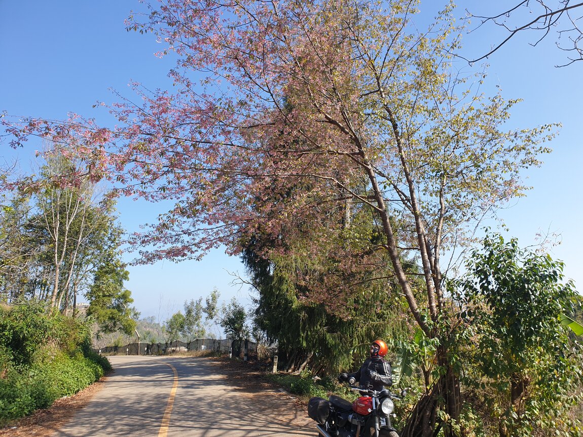 2021-01-24 11.21.48.jpg