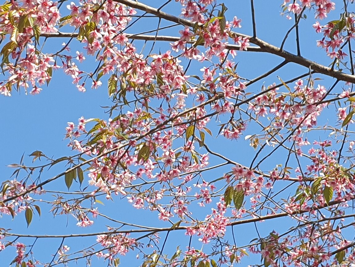 2021-01-24 11.21.58.jpg