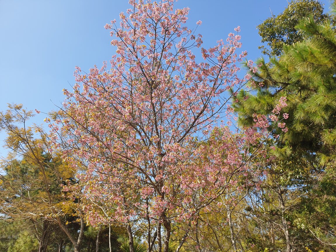 2021-01-24 11.30.11.jpg