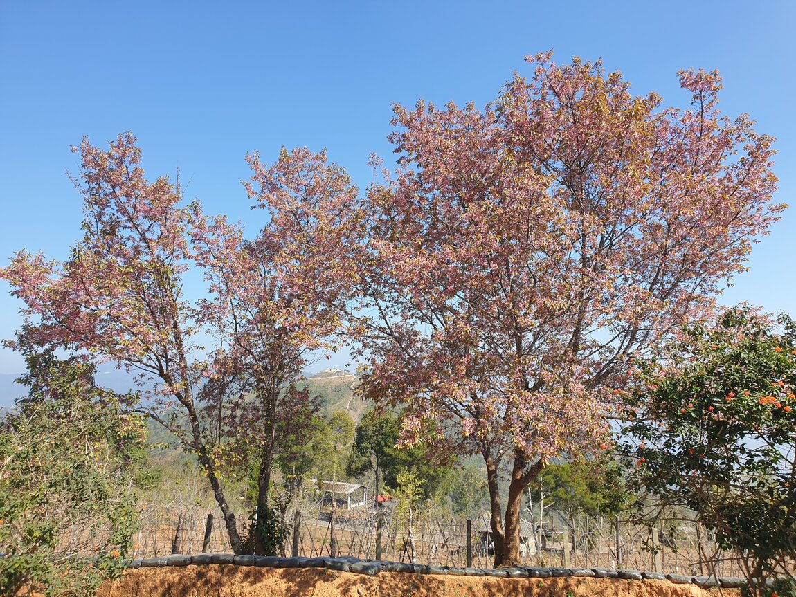 2021-01-24 11.30.36.jpg