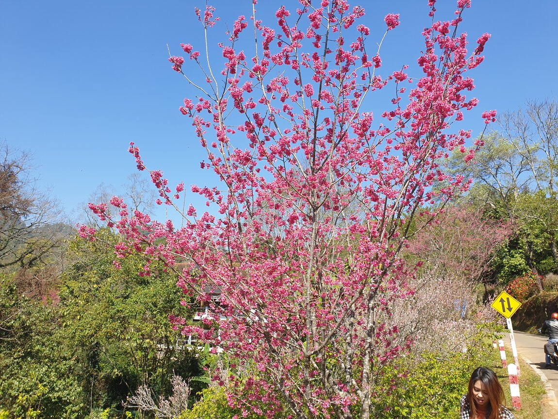 2021-01-24 12.03.02.jpg