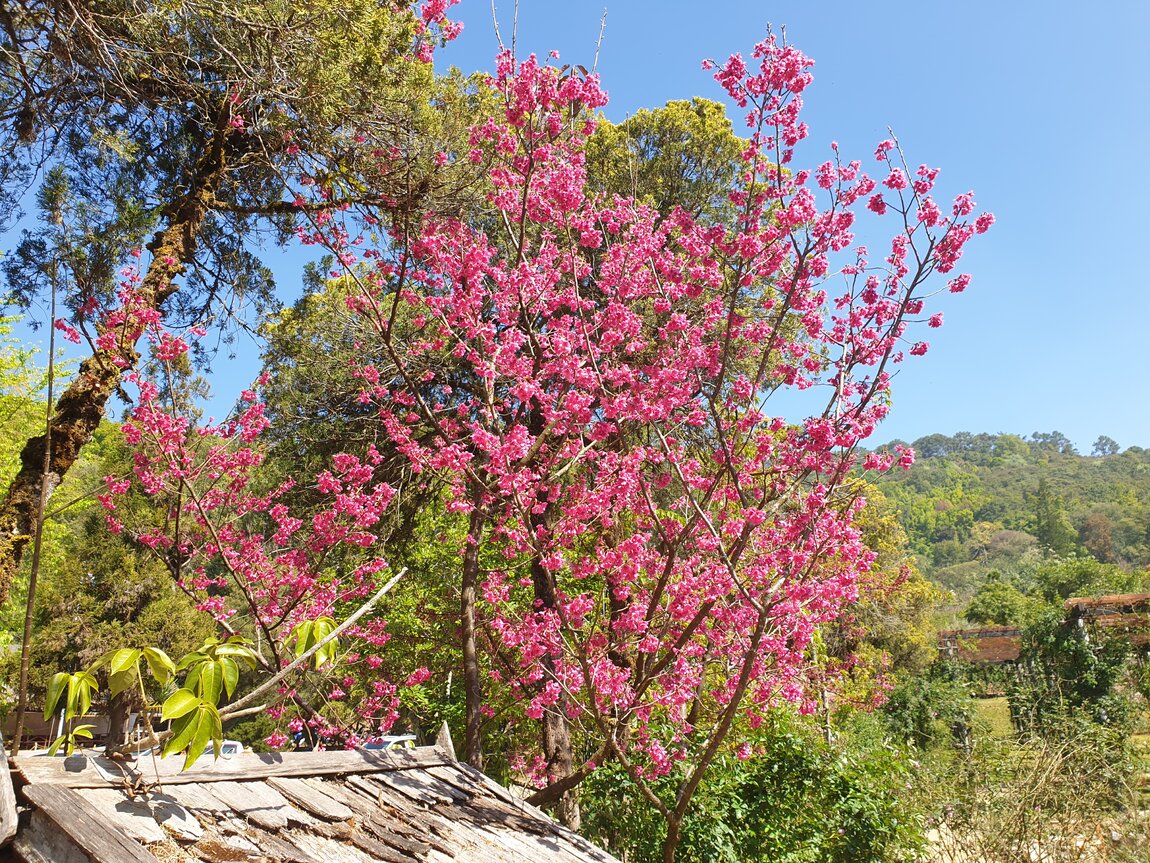 2021-01-24 13.15.54.jpg