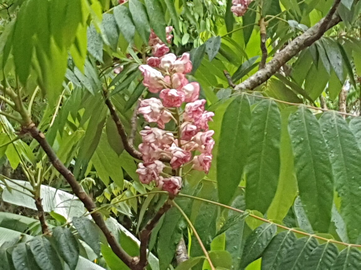 2021-03-03 15.41.34.jpg