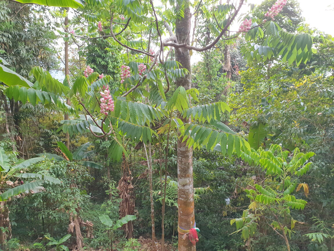 2021-03-03 15.41.47.jpg