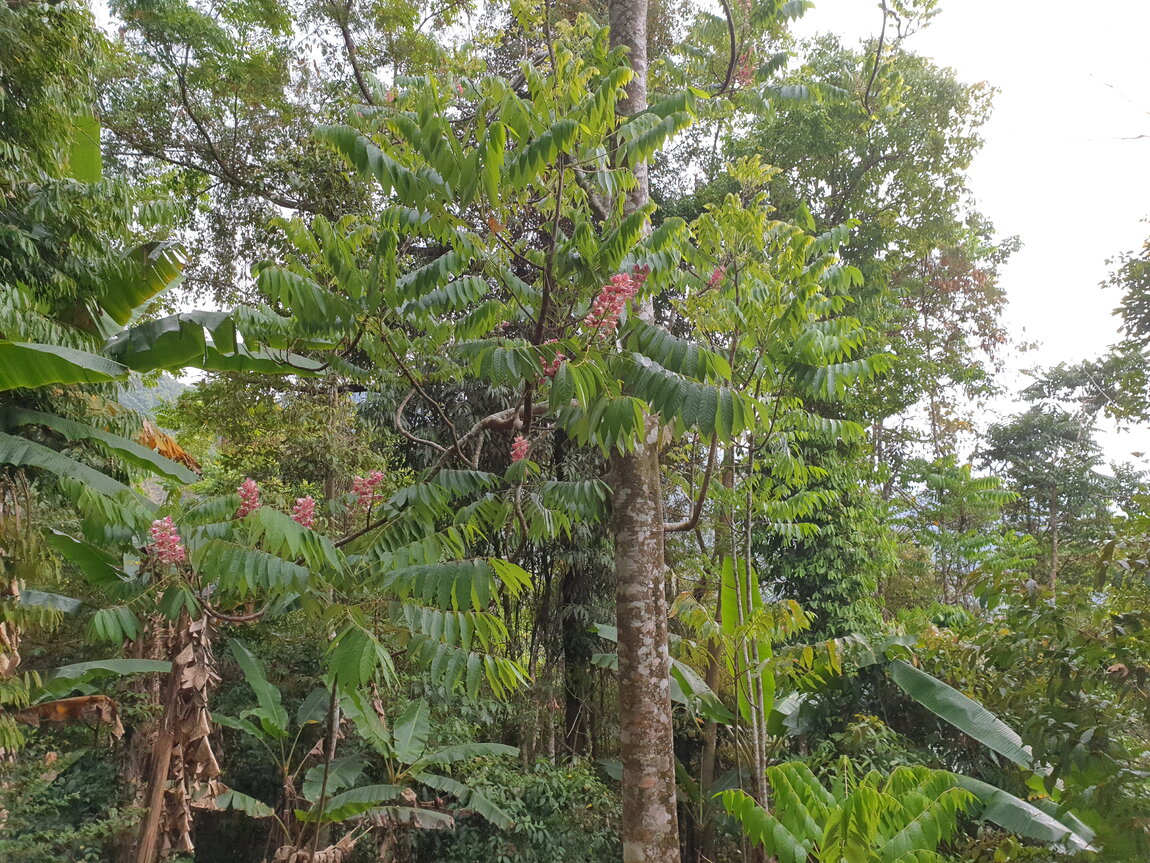 2021-03-03 15.43.37.jpg