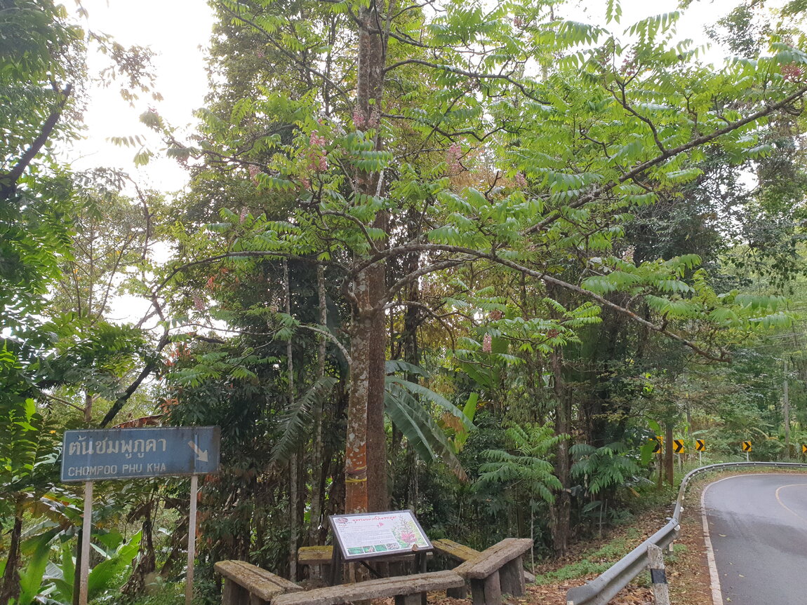 2021-03-03 15.44.21.jpg