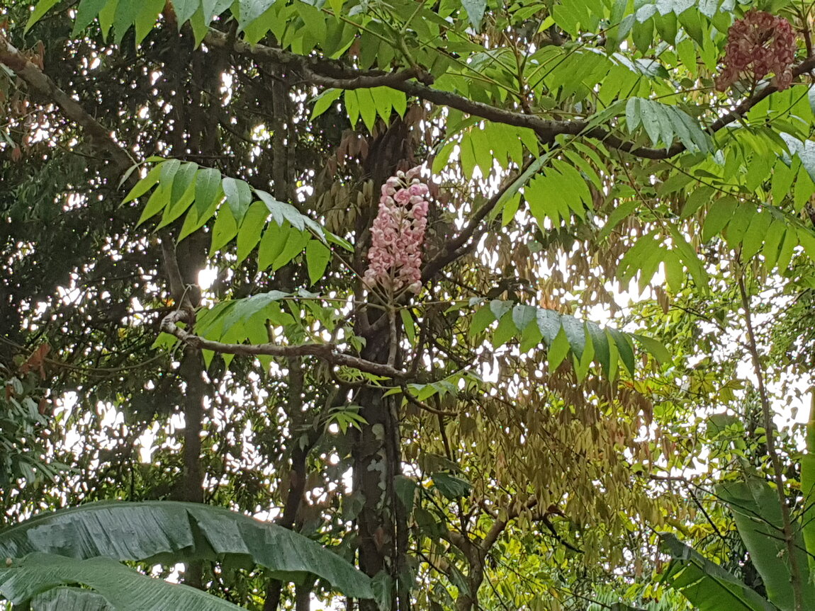 2021-03-03 15.44.50.jpg