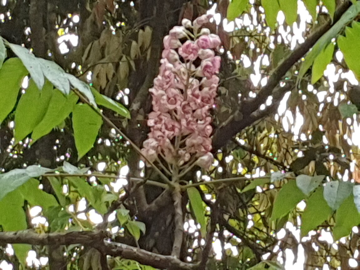 2021-03-03 15.44.55.jpg